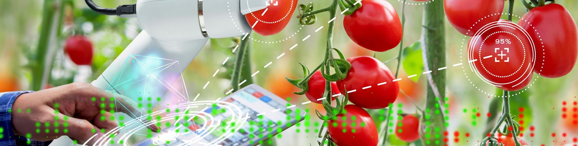 tracciabilita-alimentare-haccp