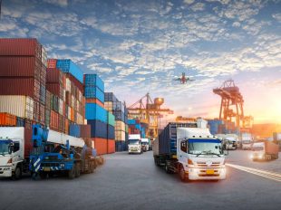 terminal container con camion